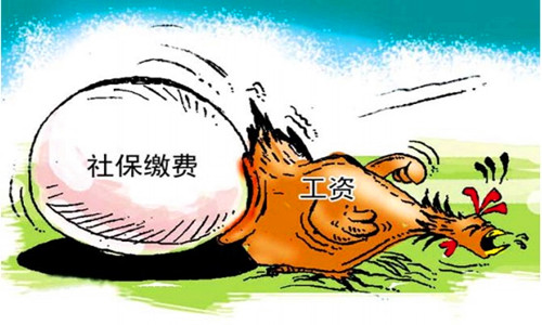 社保怎么扣款  原来是这样