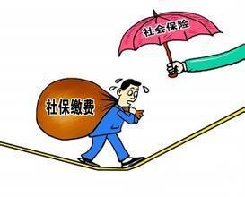 个人社保缴费代码是什么 怎么查询